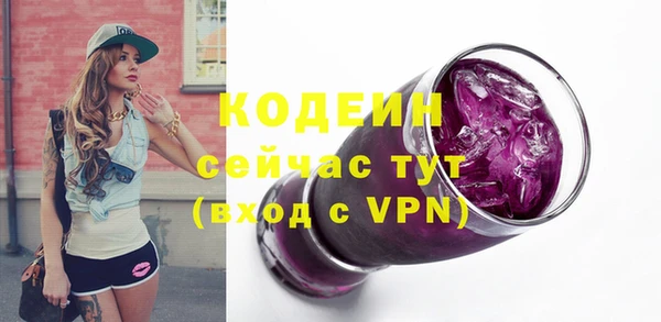 крисы Абаза