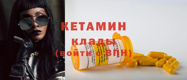крисы Абаза