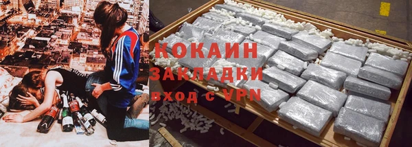 стафф Алзамай