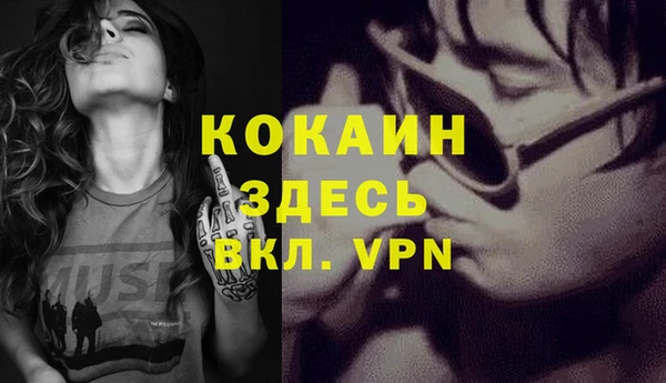 крисы Абаза