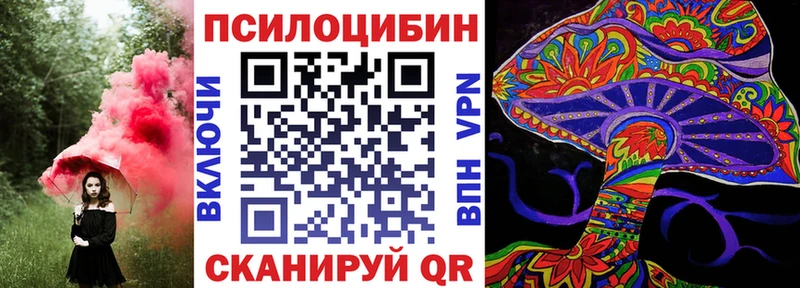 Псилоцибиновые грибы Cubensis  darknet состав  Туран 